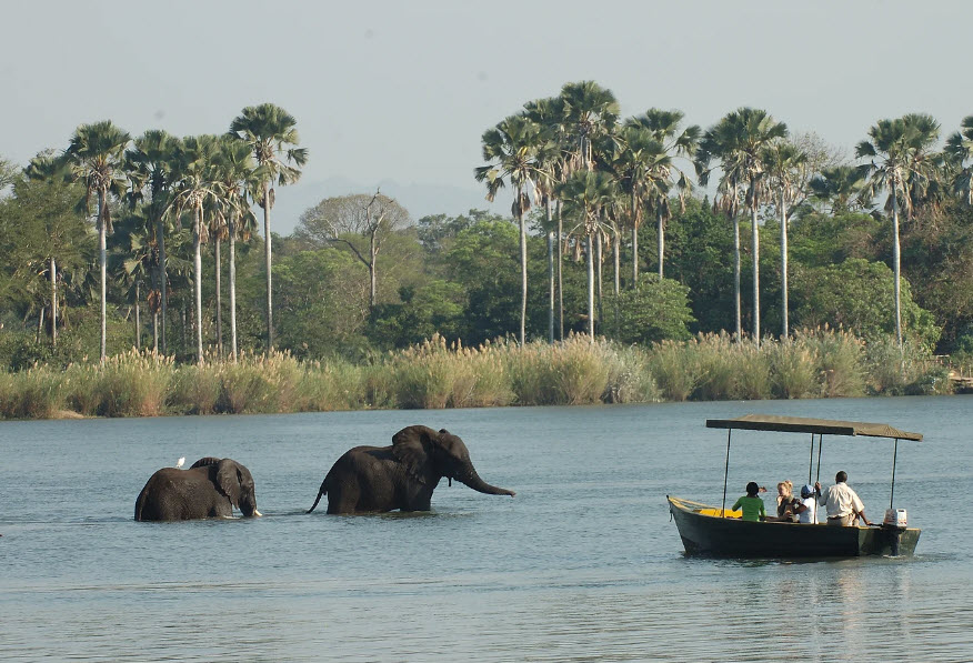 Liwonde National Park, Malawi